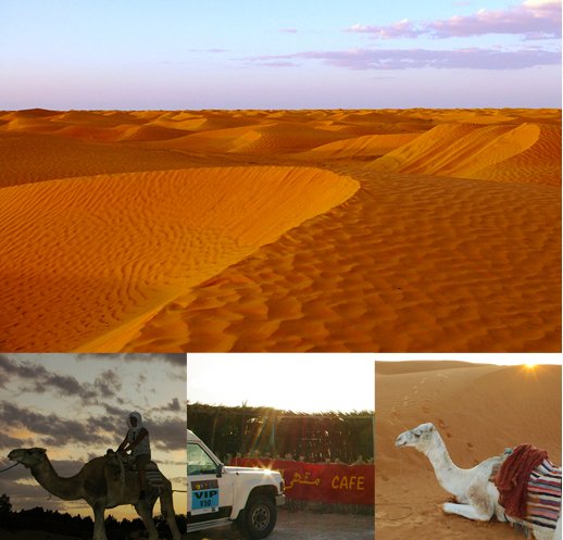 クサールギレン